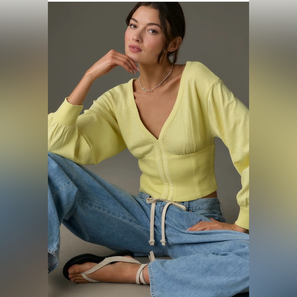 Anthropologie Cropped Sweatshirt